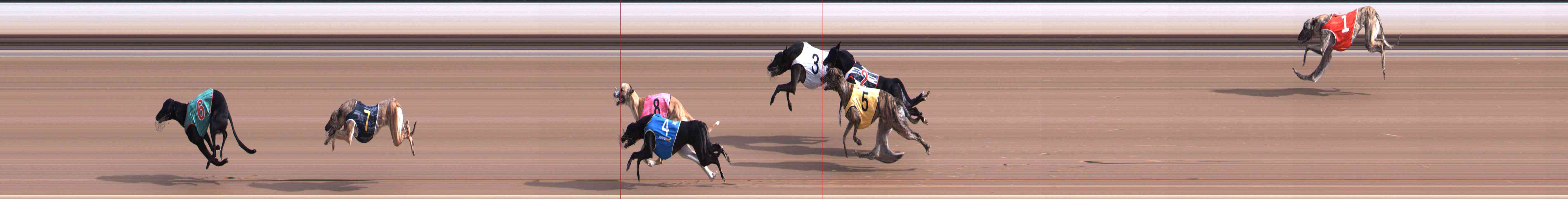 Photo finish for Healesville Race 1
