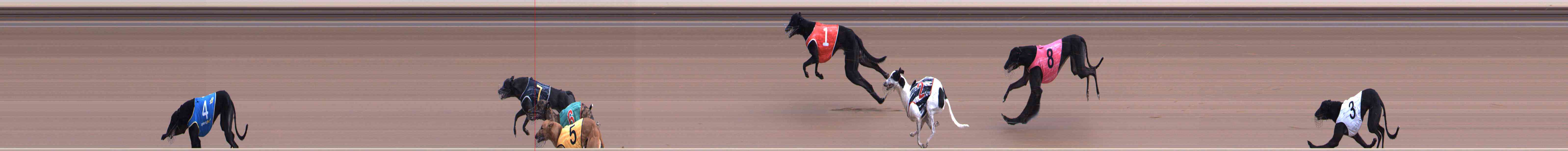 Photo finish for Healesville Race 2