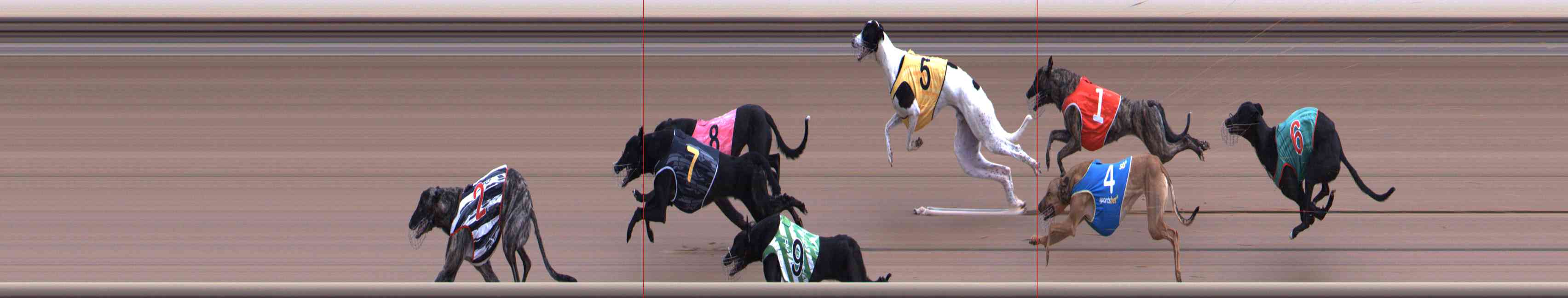 Photo finish for Healesville Race 3