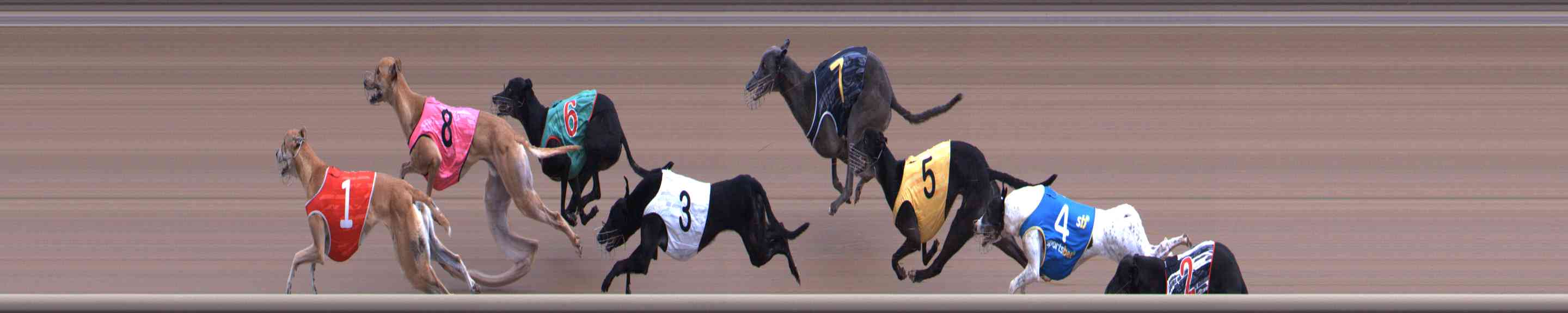 Photo finish for Healesville Race 4