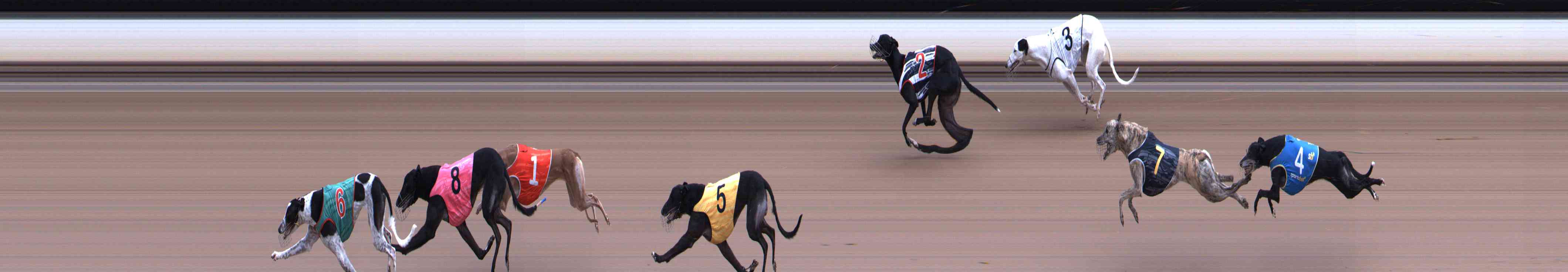 Photo finish for Healesville Race 5