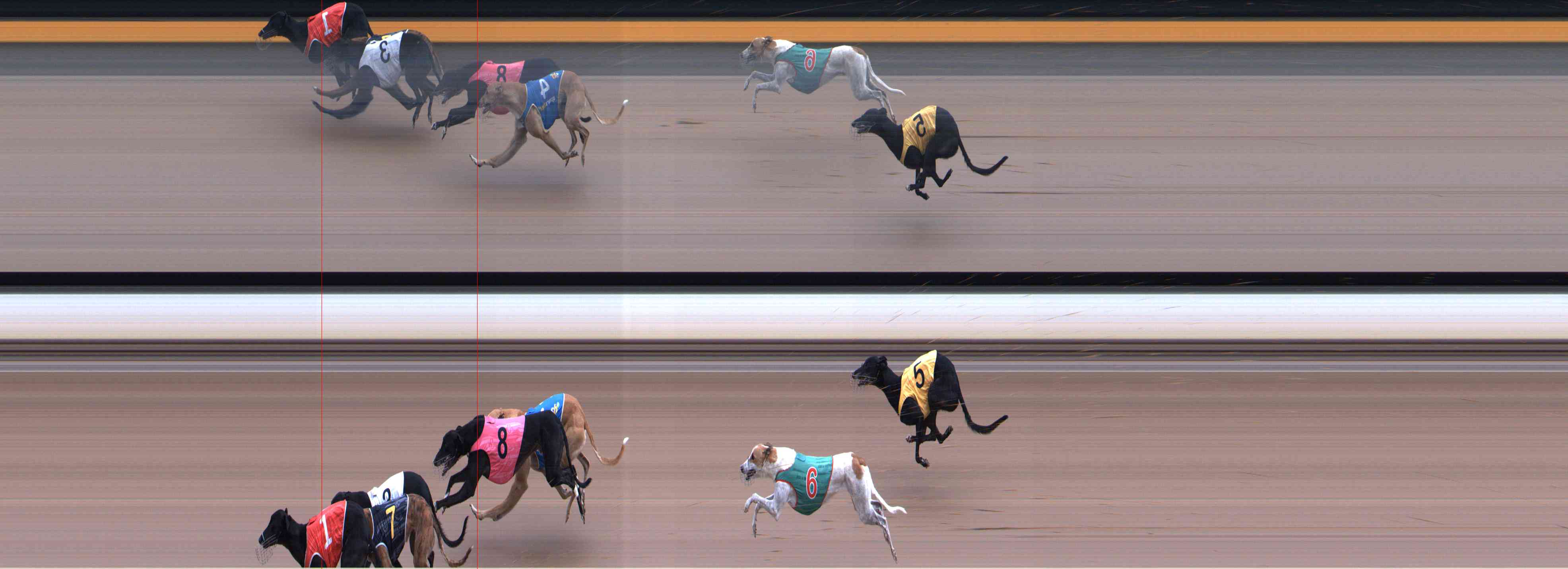 Photo finish for Healesville Race 6