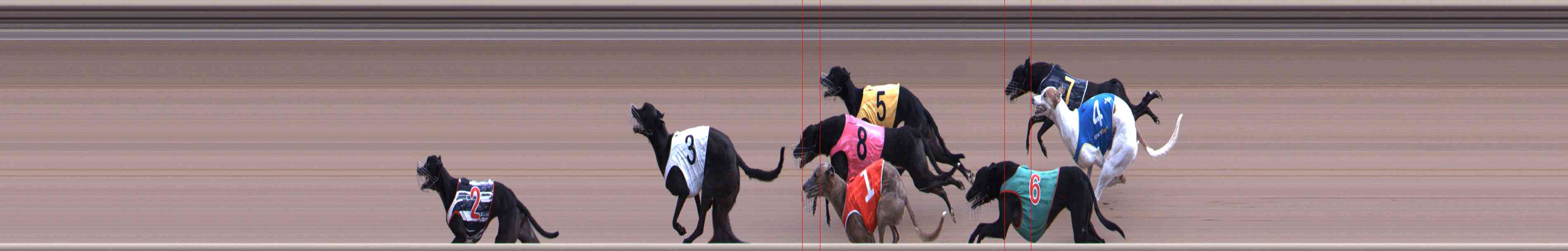 Photo finish for Healesville Race 8