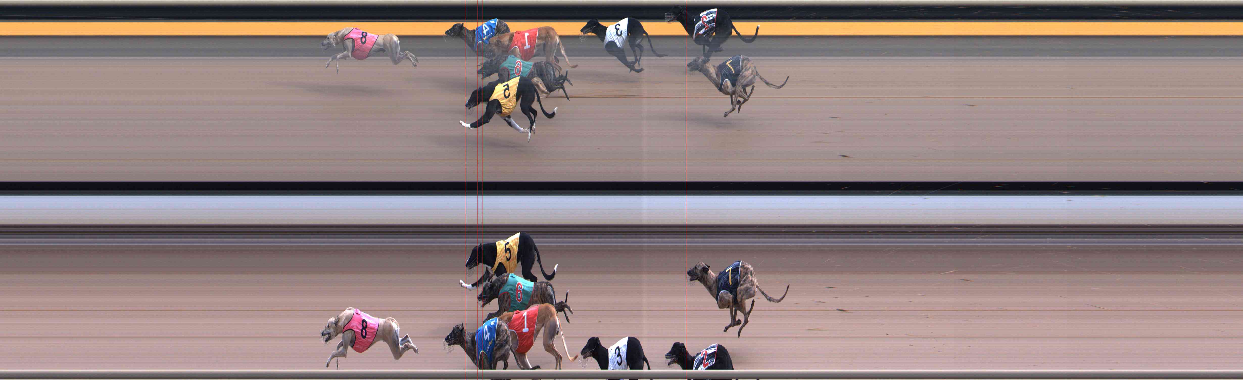 Photo finish for Healesville Race 9