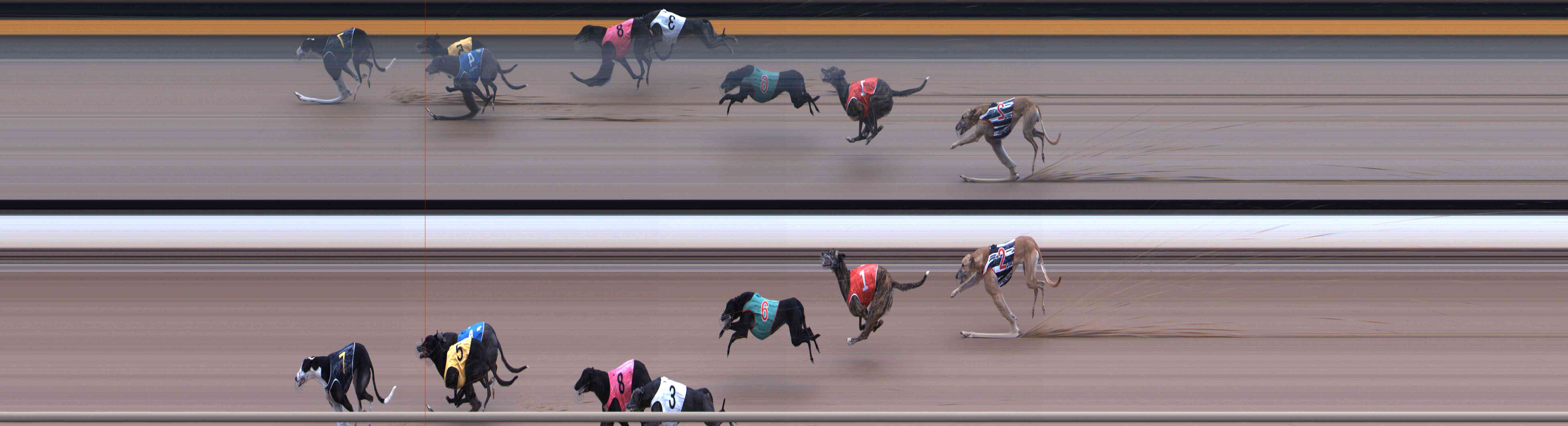Photo finish for Healesville Race 10
