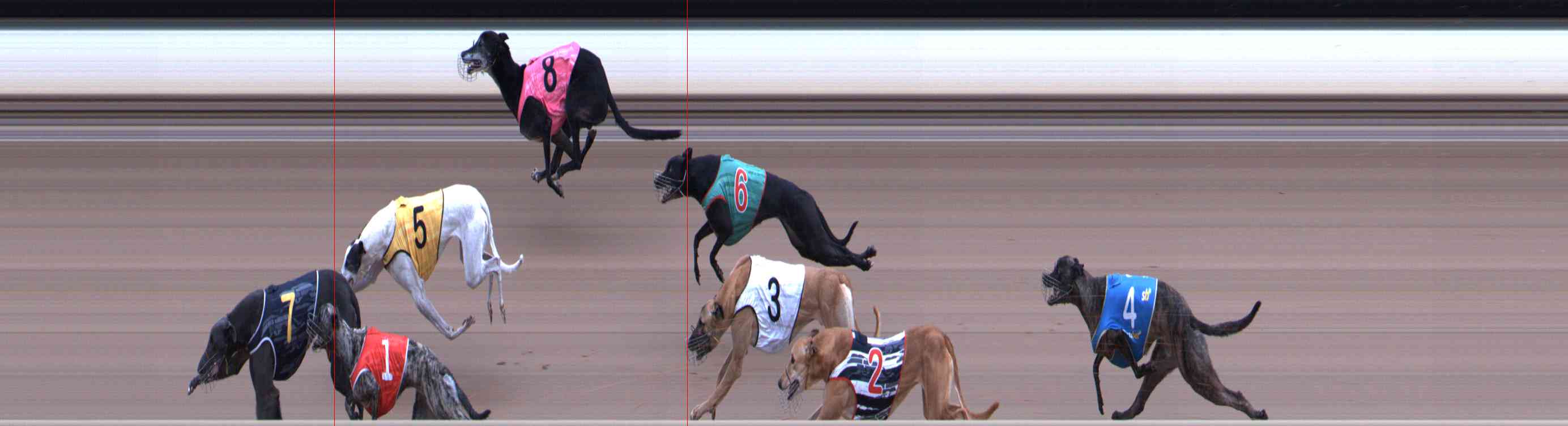 Photo finish for Healesville Race 11