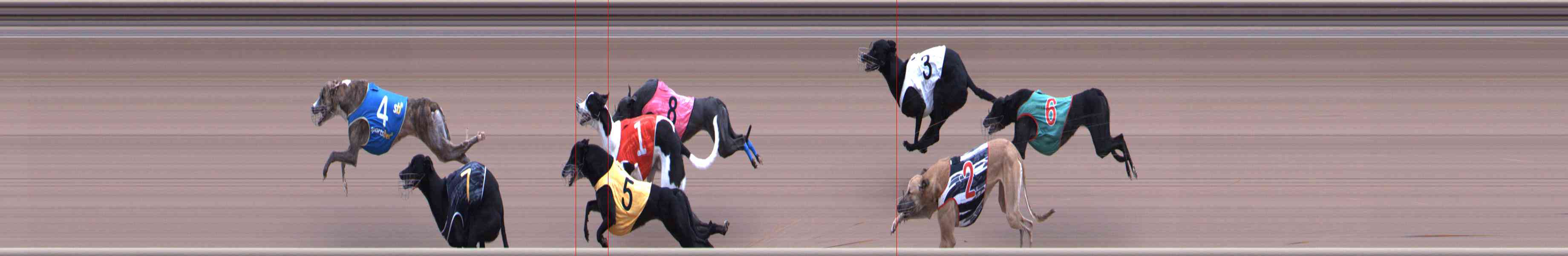 Photo finish for Healesville Race 12