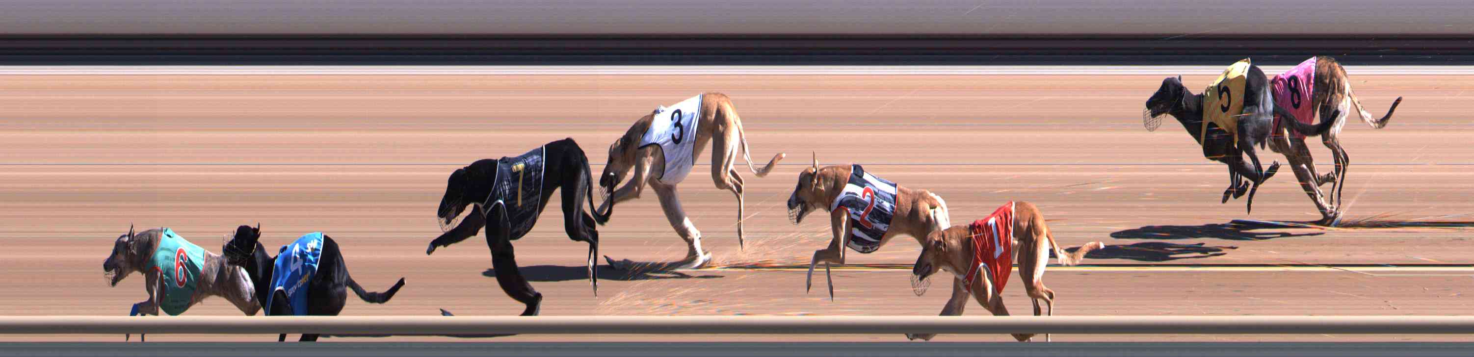 Photo finish for Healesville Race 1
