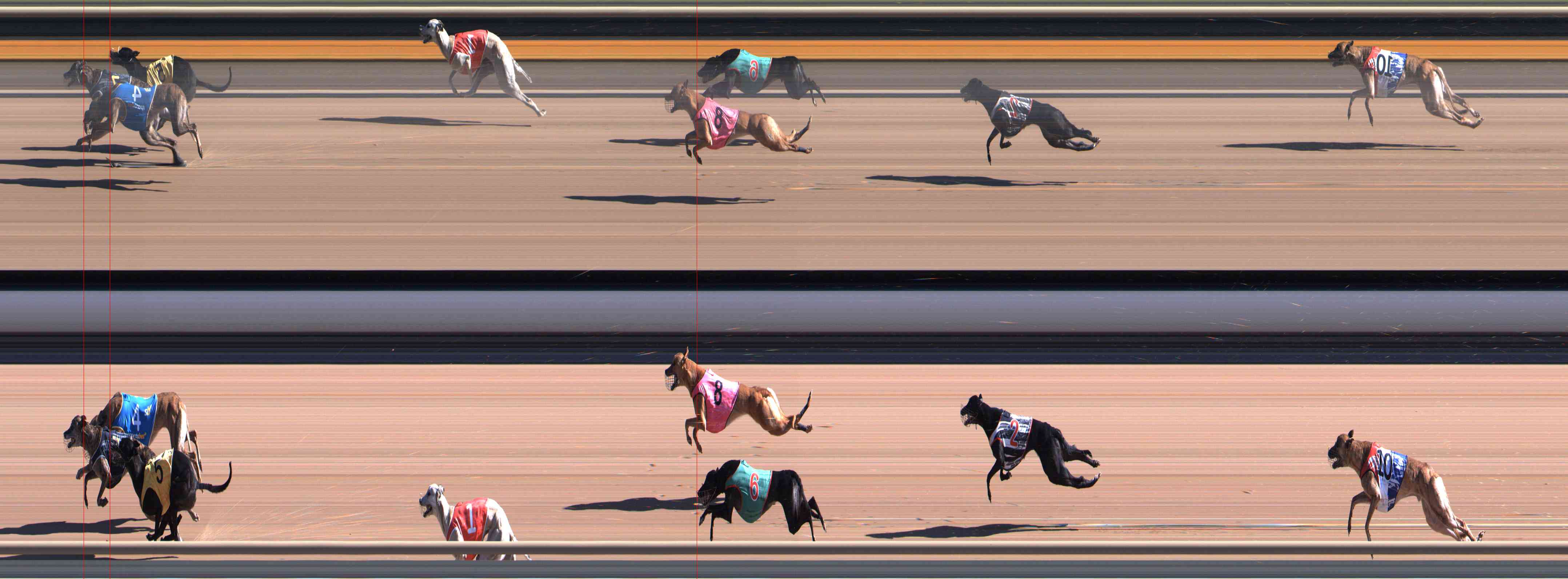 Photo finish for Healesville Race 2