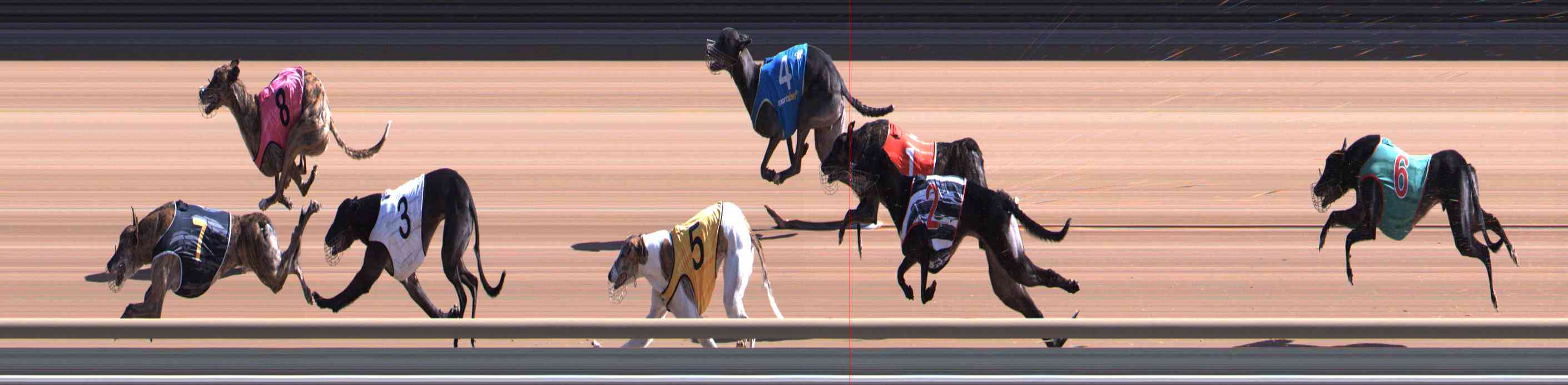 Photo finish for Healesville Race 3