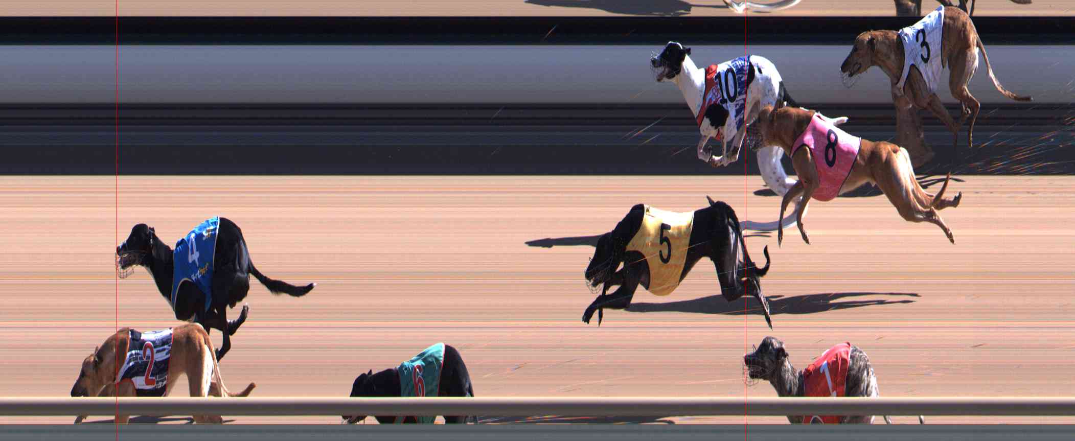 Photo finish for Healesville Race 4