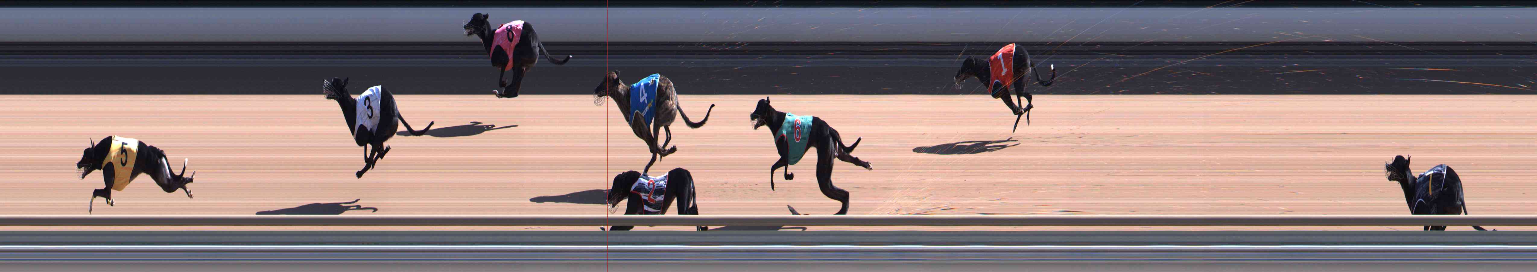 Photo finish for Healesville Race 5