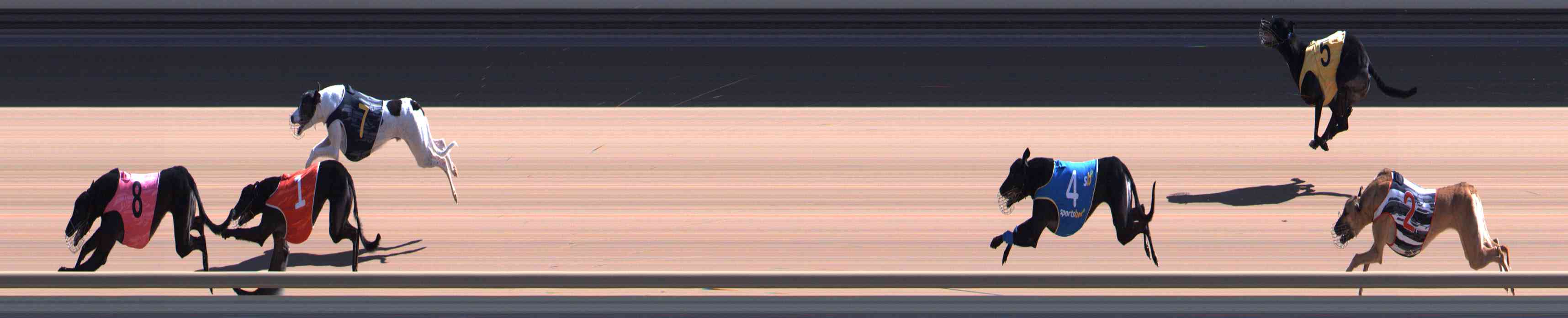 Photo finish for Healesville Race 6