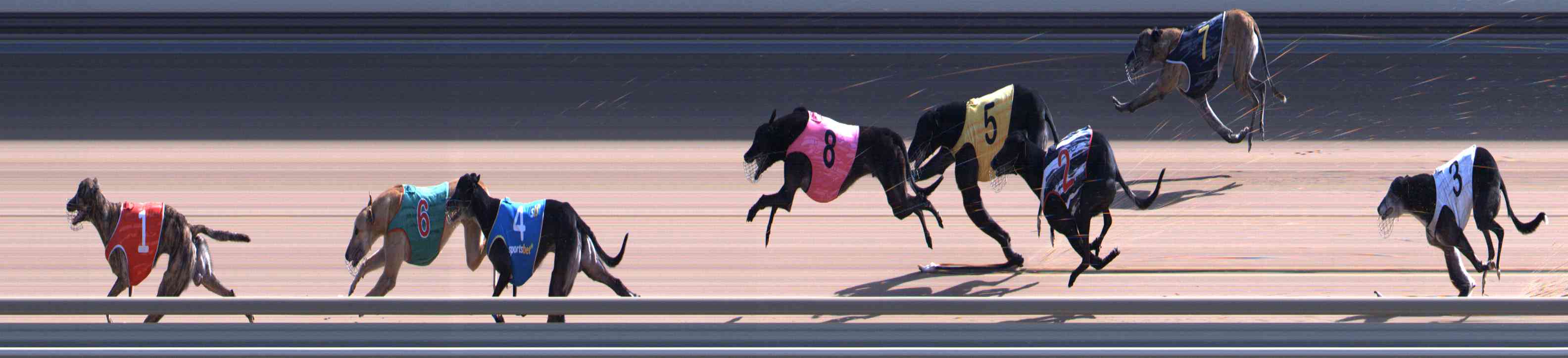 Photo finish for Healesville Race 7
