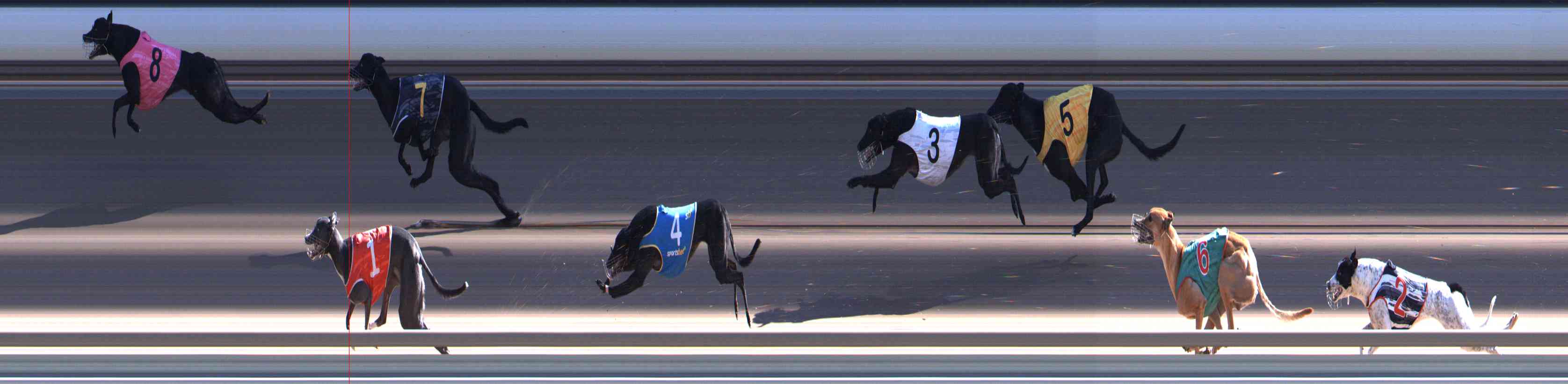 Photo finish for Healesville Race 8