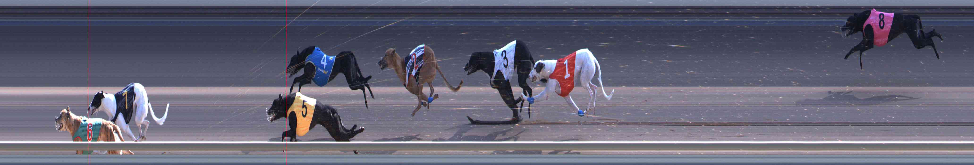 Photo finish for Healesville Race 9