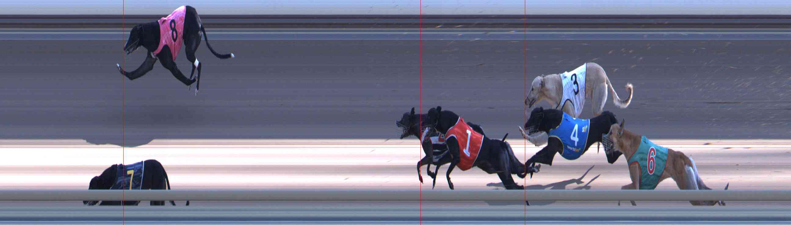 Photo finish for Healesville Race 10