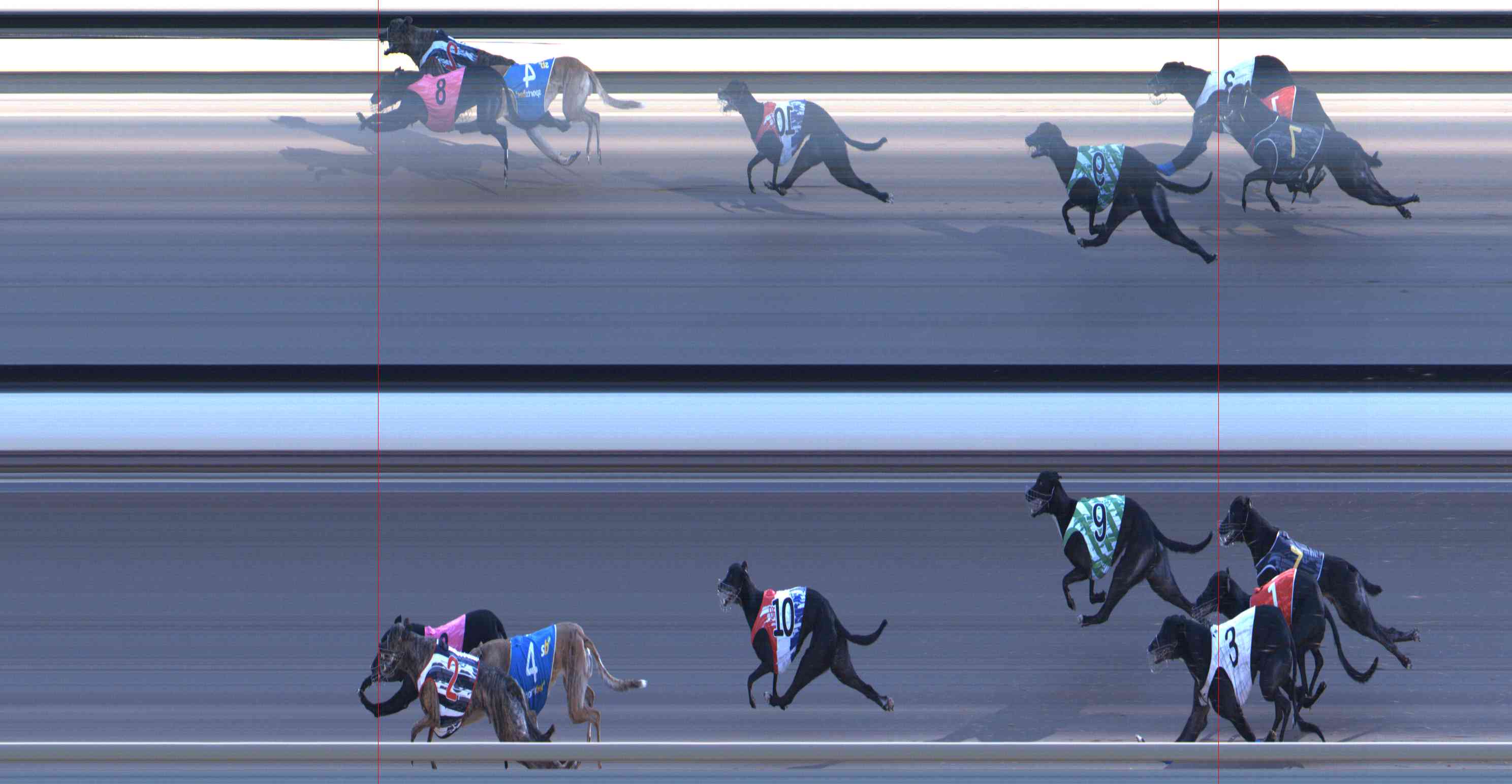 Photo finish for Healesville Race 11