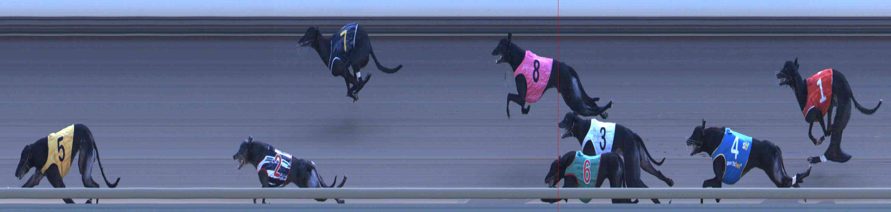 Photo finish for Healesville Race 12
