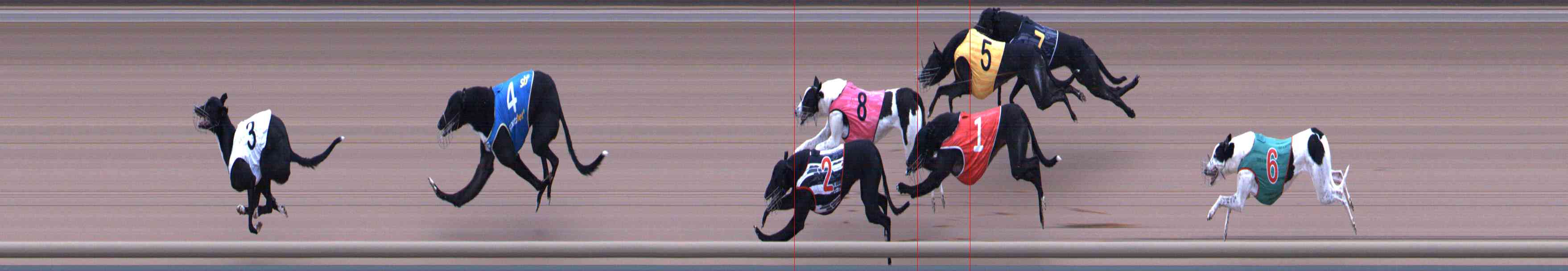 Photo finish for Healesville Race 1