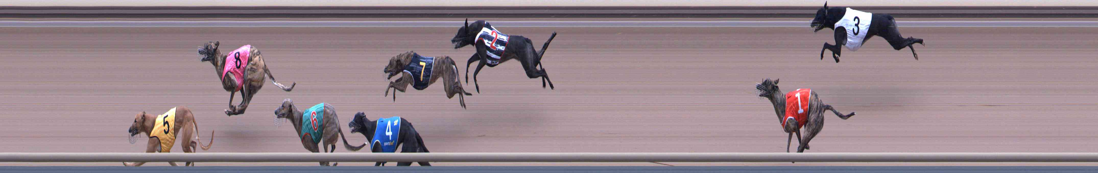 Photo finish for Healesville Race 2