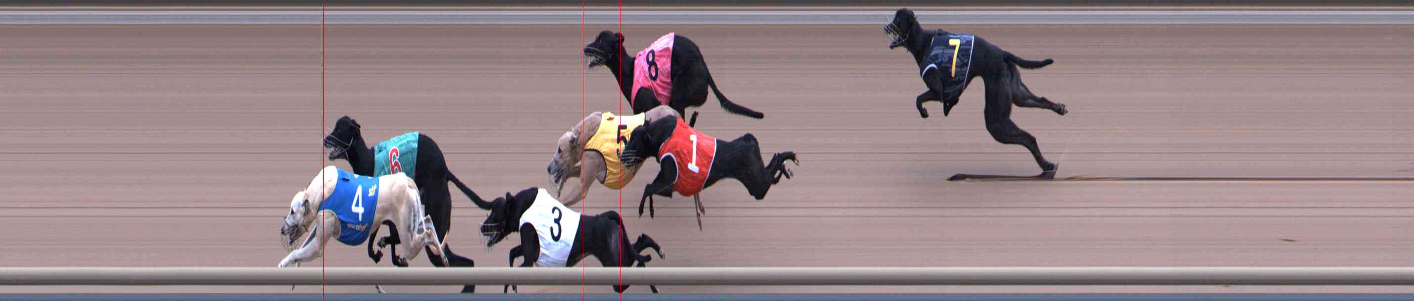 Photo finish for Healesville Race 3