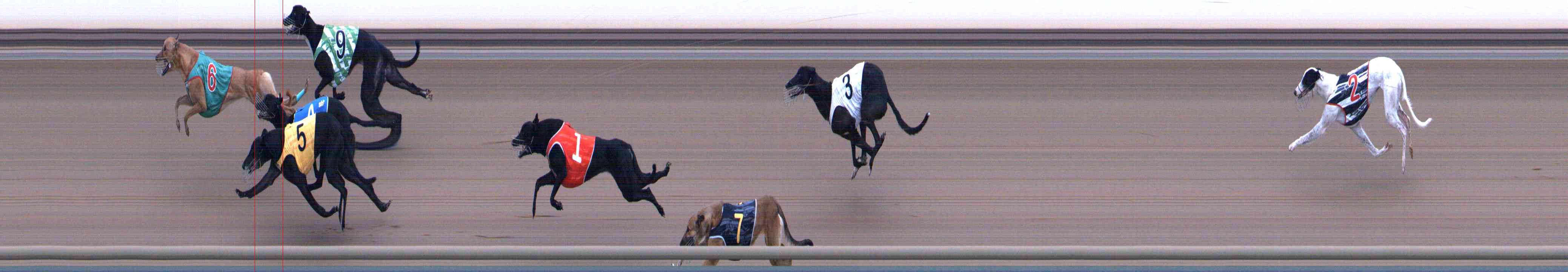 Photo finish for Healesville Race 4
