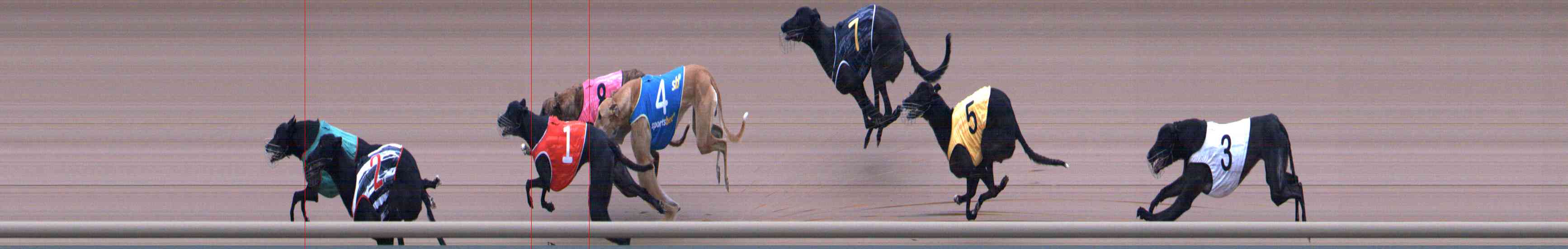 Photo finish for Healesville Race 5