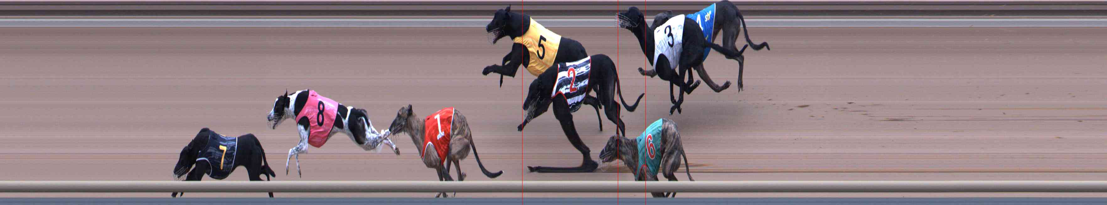 Photo finish for Healesville Race 6