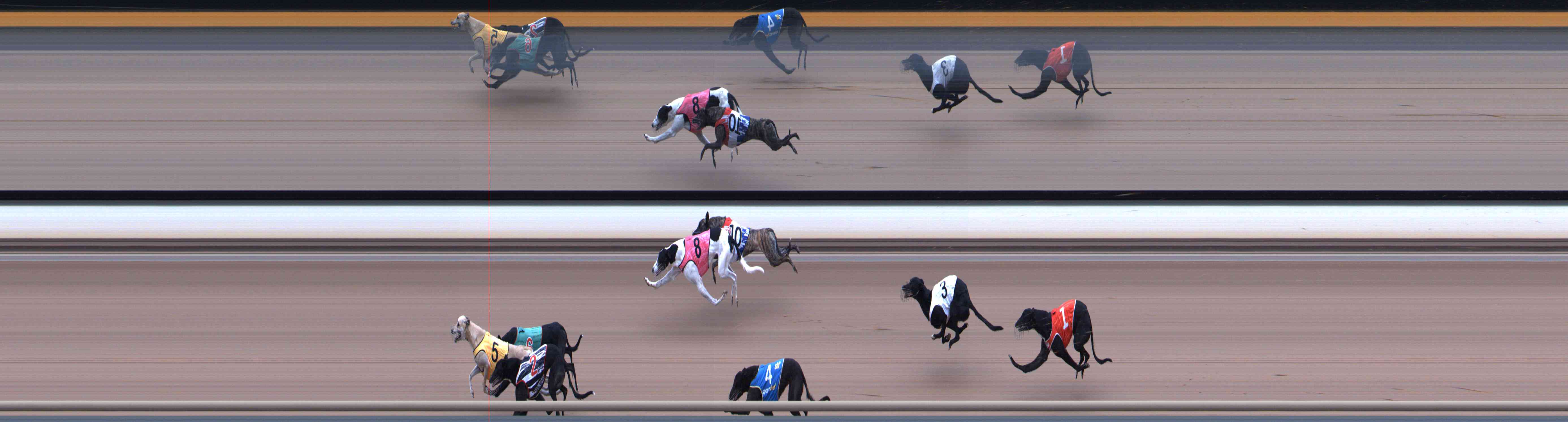 Photo finish for Healesville Race 7