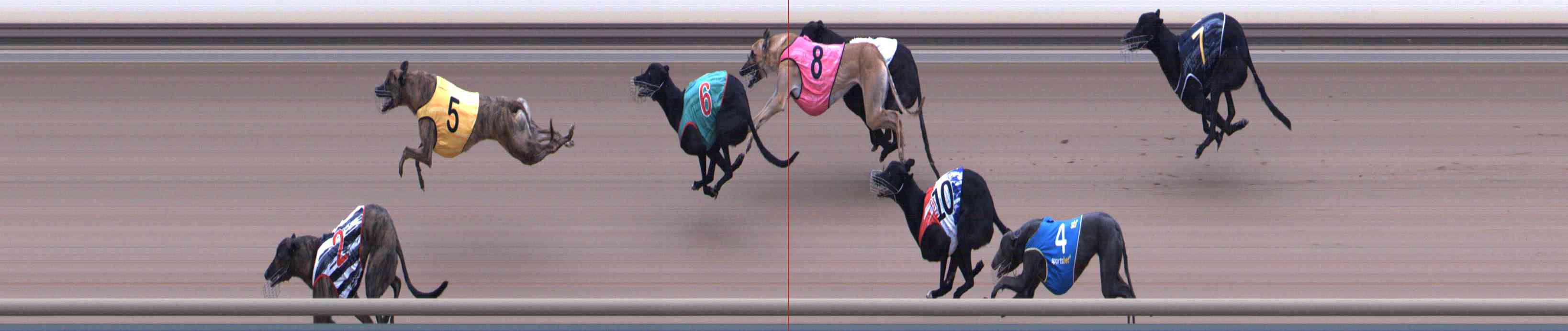 Photo finish for Healesville Race 8