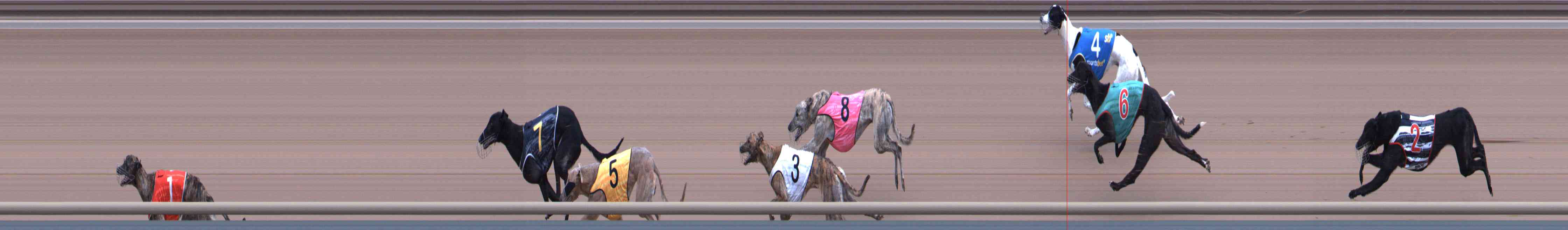 Photo finish for Healesville Race 9