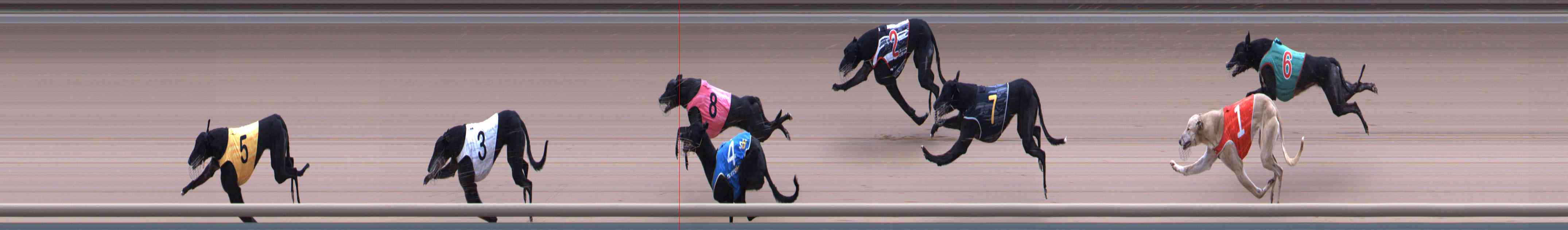 Photo finish for Healesville Race 10