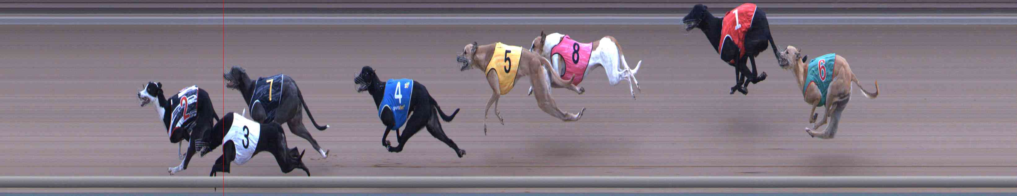 Photo finish for Healesville Race 11