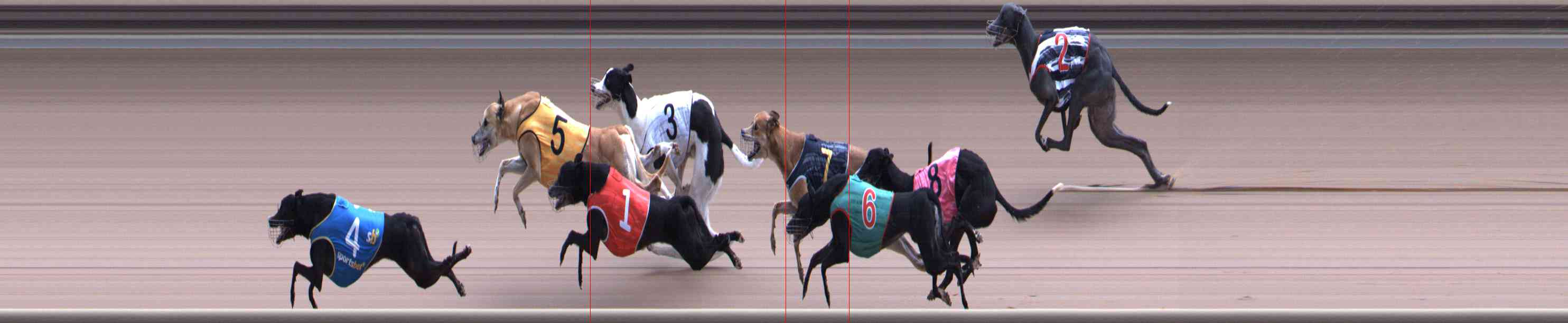 Photo finish for Healesville Race 12