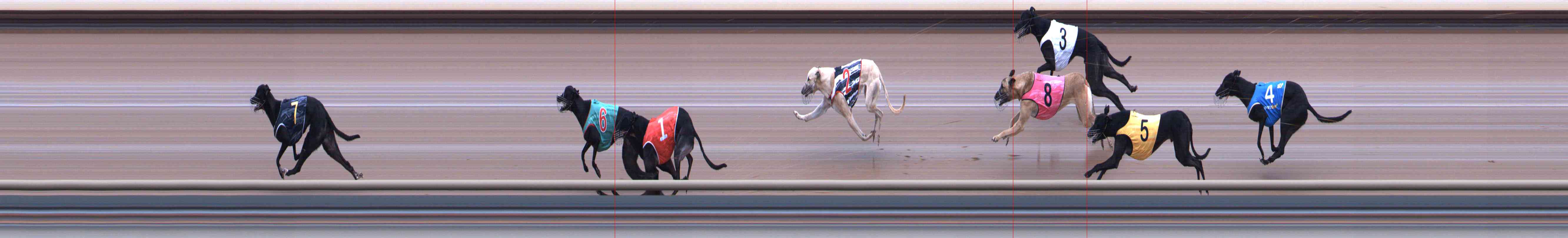Photo finish for Healesville Race 1