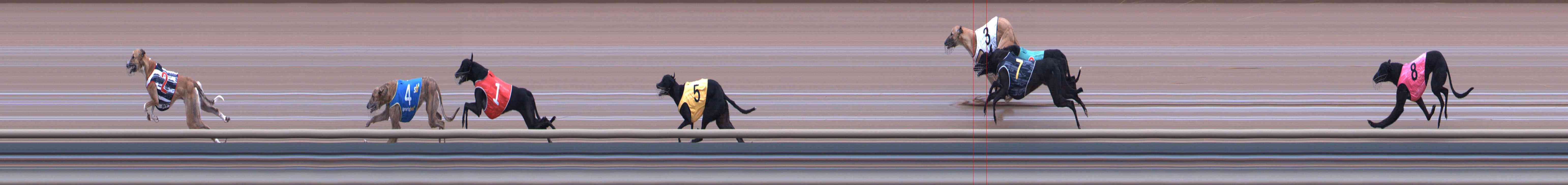 Photo finish for Healesville Race 2