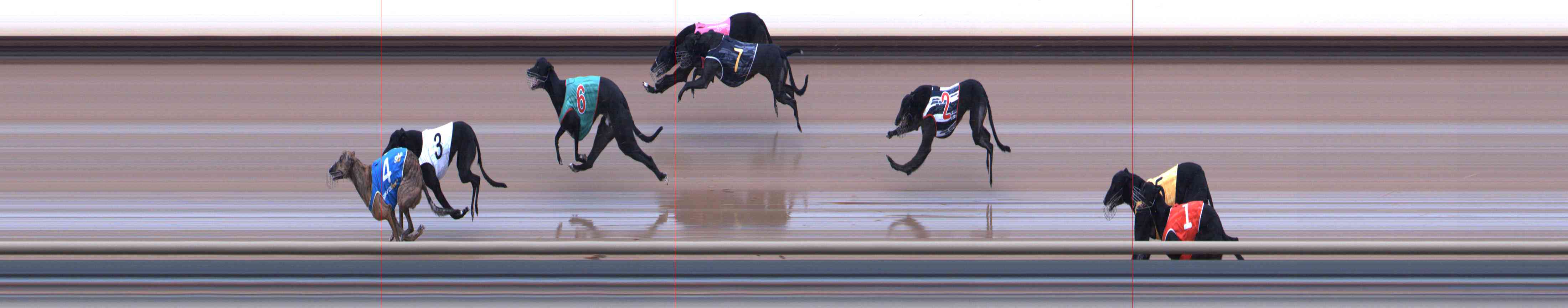 Photo finish for Healesville Race 3