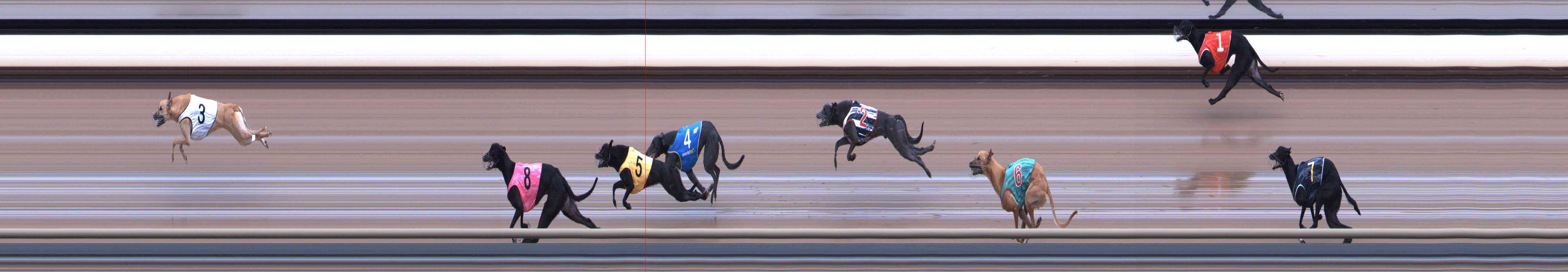 Photo finish for Healesville Race 4