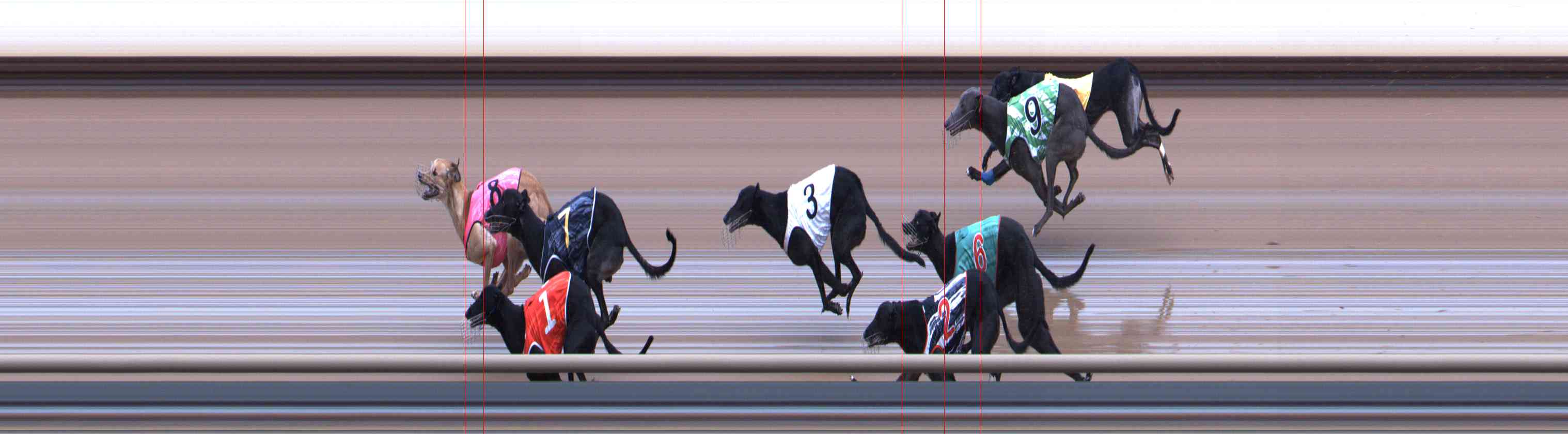 Photo finish for Healesville Race 5