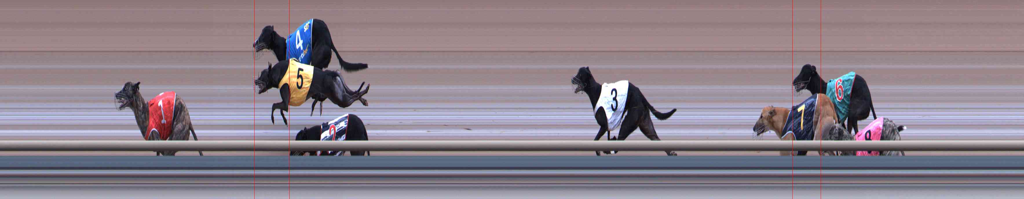 Photo finish for Healesville Race 6