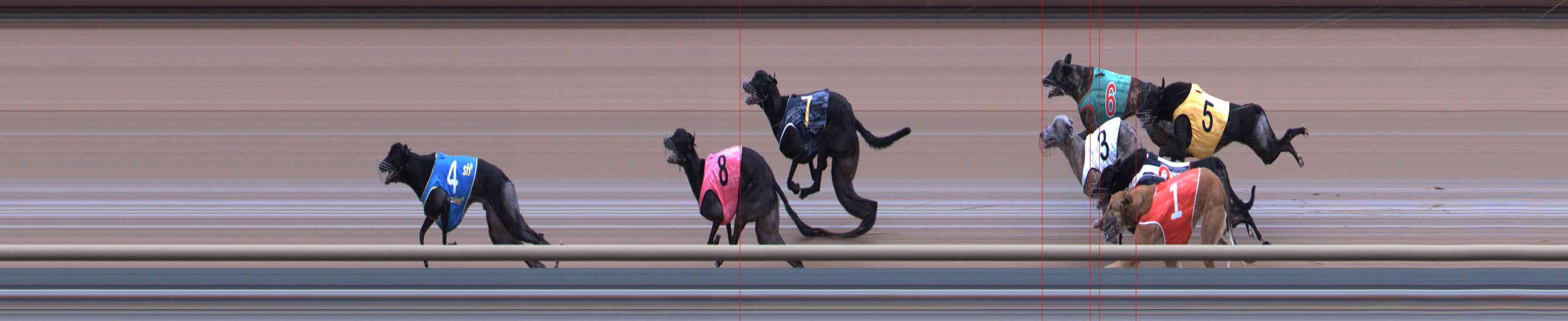 Photo finish for Healesville Race 7