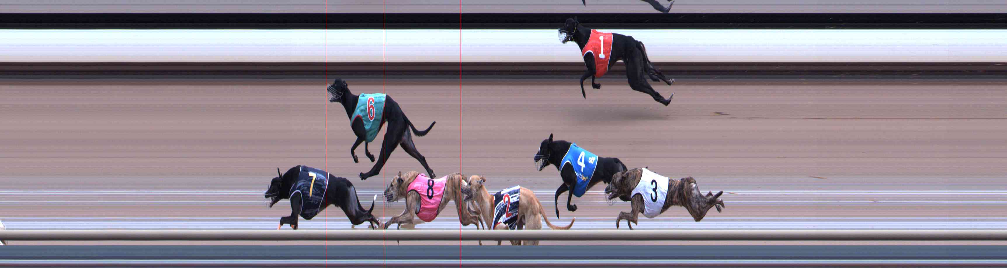 Photo finish for Healesville Race 8