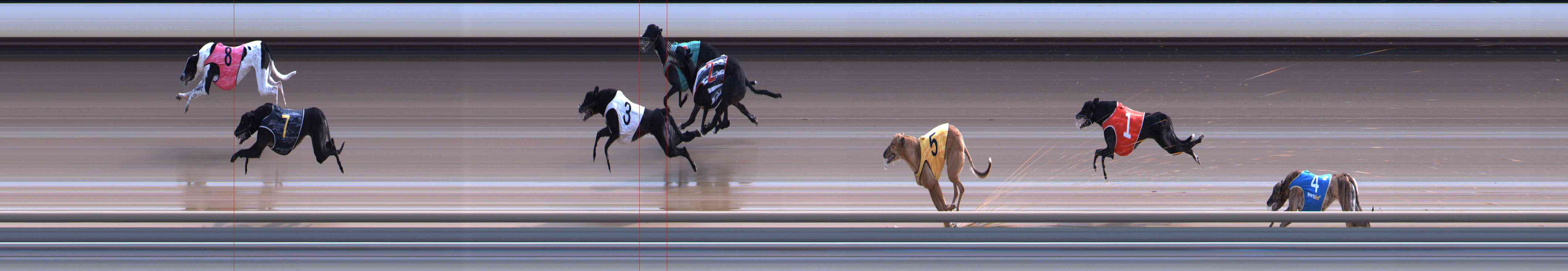 Photo finish for Healesville Race 9