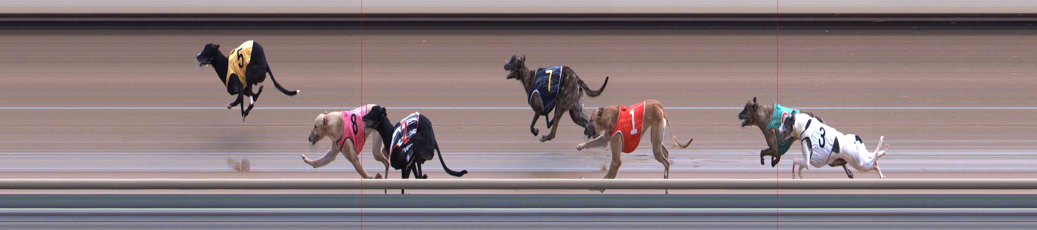 Photo finish for Healesville Race 10