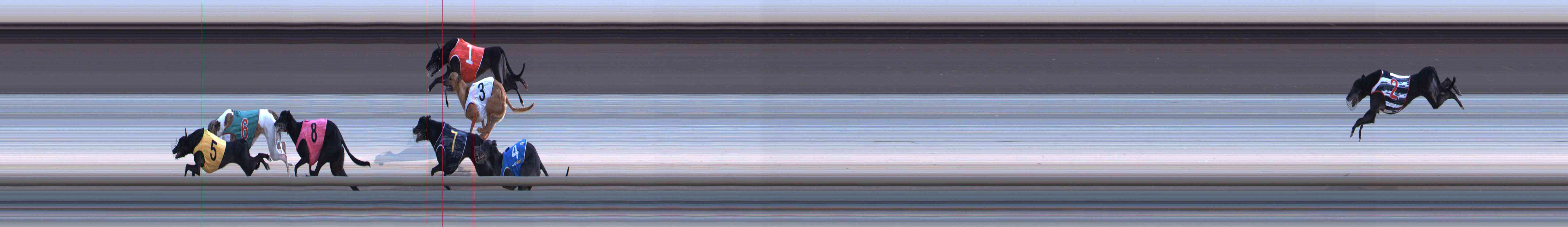 Photo finish for Healesville Race 11