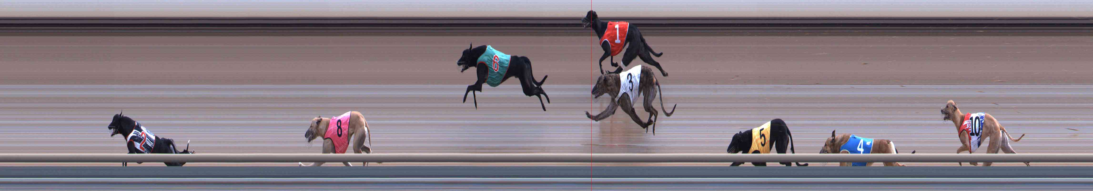 Photo finish for Healesville Race 12