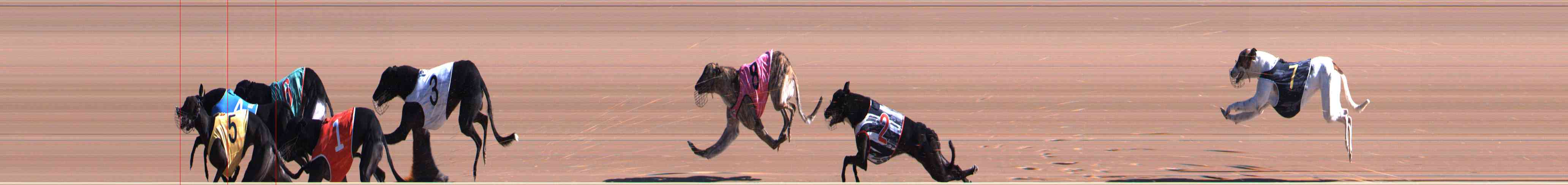 Photo finish for Healesville Race 1