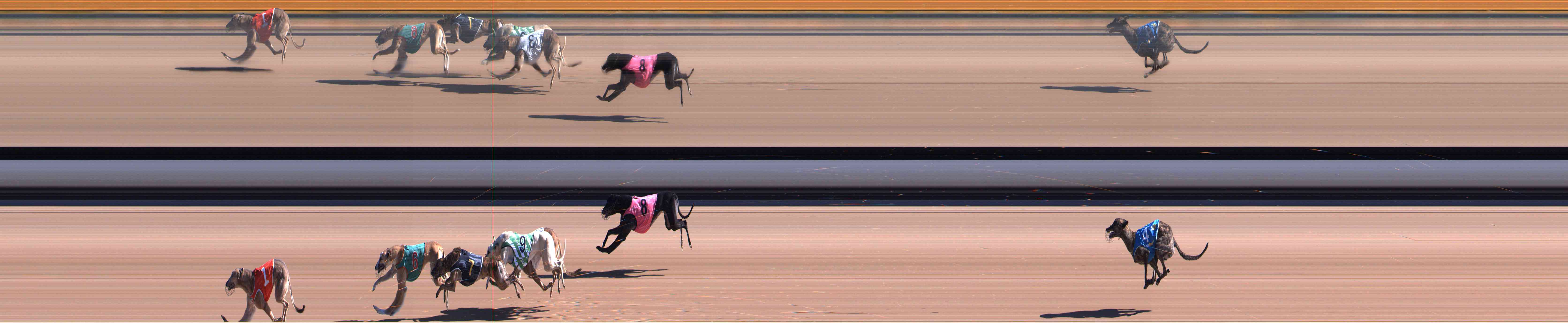 Photo finish for Healesville Race 2
