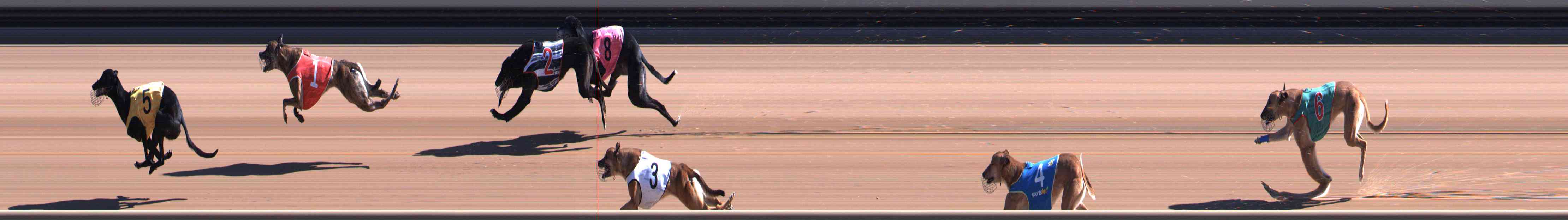 Photo finish for Healesville Race 3